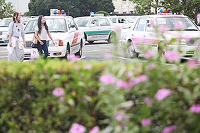掛川自動車学校の合宿の様子