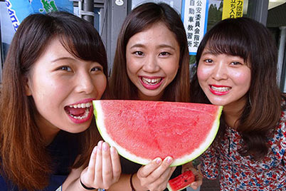 マツキドライビングスクール さくらんぼ校の合宿の様子